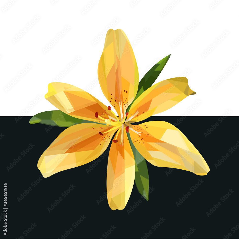 Obraz premium Low poly yellow lily flower with leaves close up. Vector illustration for your projects