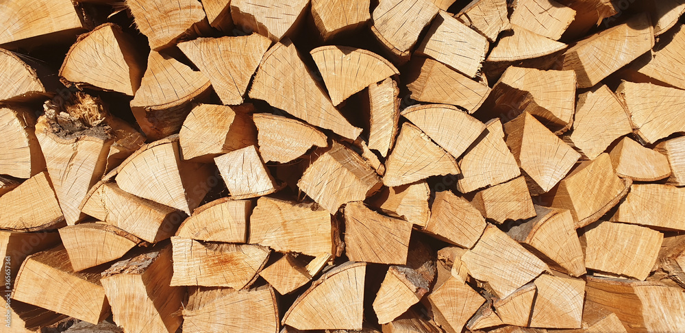 The background of stacked chopped firewood on a sunny day. Panorama. The background of stacked chopped firewood on a sunny day. Panorama.