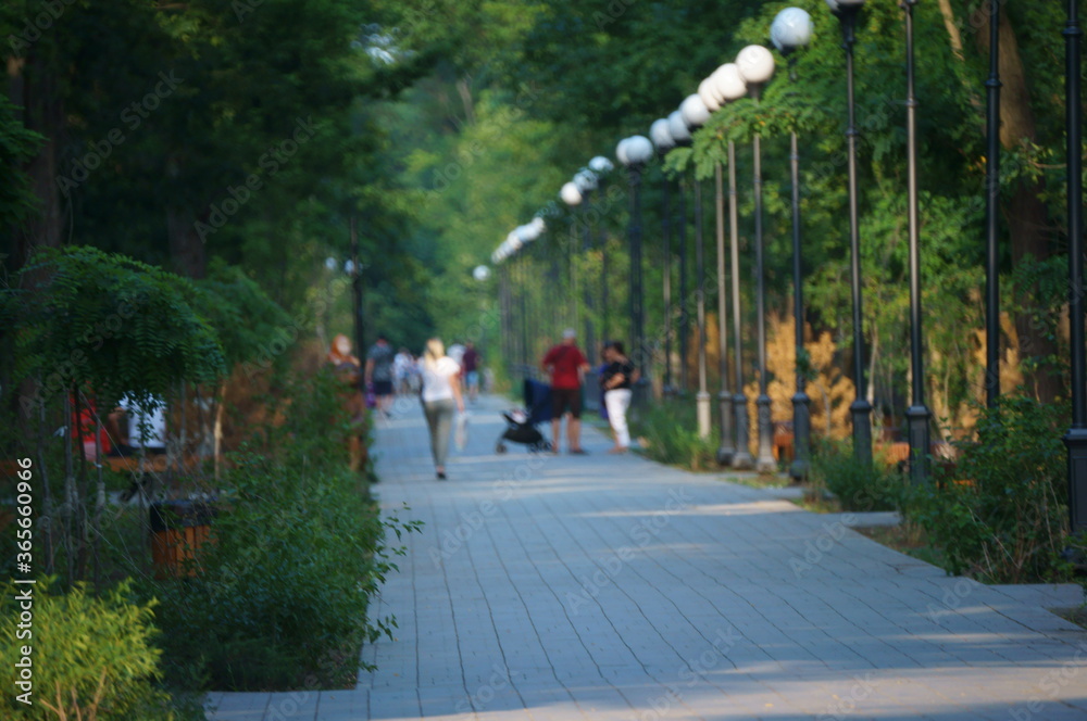 walk in the park walk in the park