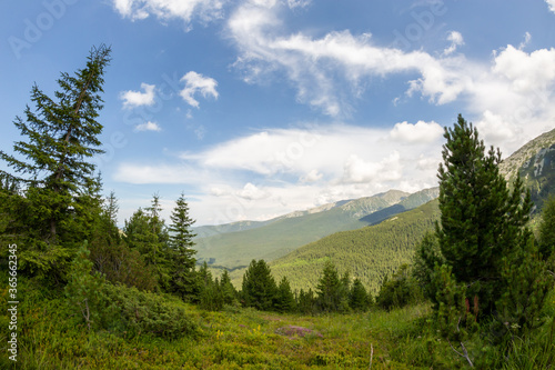 Retezat national park  Hunedoara county  Carpathian mountains  Romania