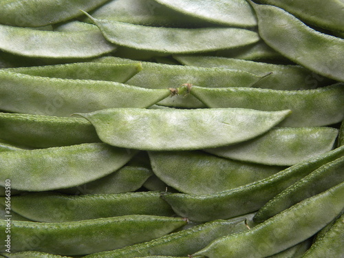 Green color raw Hyacinth Lablab broad beans photo