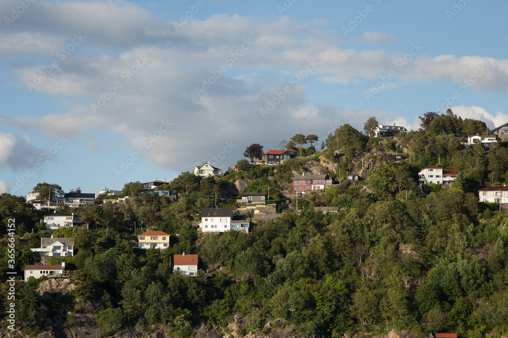 Obraz premium housing over the fjord hill #5 