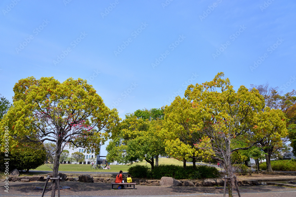 寒川中央公園のベンチに腰掛ける親子