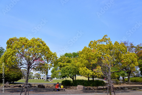 寒川中央公園のベンチに腰掛ける親子