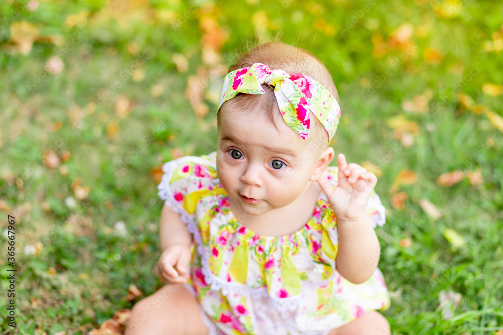 portrait of a small baby girl 7 months old sitting on the green grass in a yellow dress, walking in the fresh air portrait of a small baby girl 7 months old sitting on the green grass in a yellow dress, walking in the fresh air