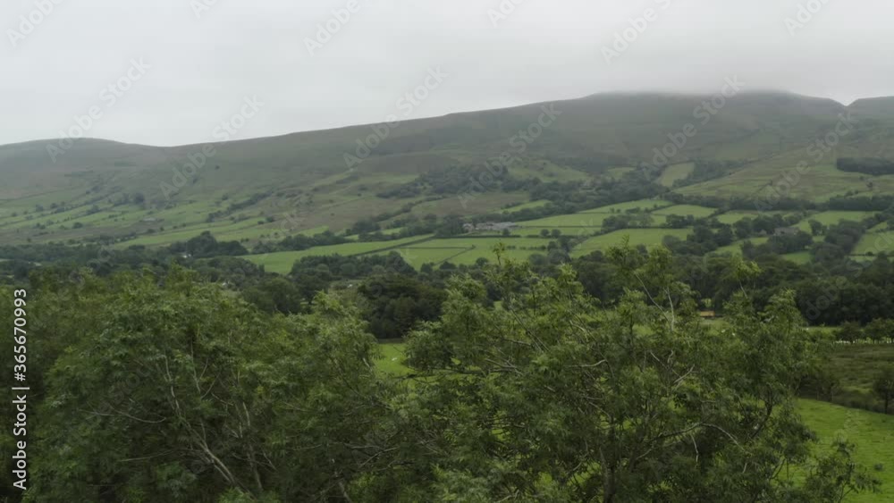 Peak District aerial reveal of sheep fields over trees Peak District aerial reveal of sheep fields over trees