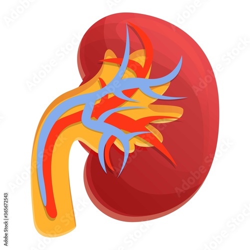 Dialysis kidney icon. Cartoon of dialysis kidney vector icon for web design isolated on white background