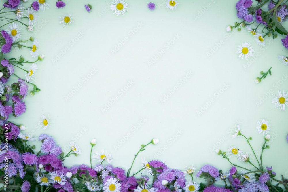 Lilac flowers and chamomile on a light background. View from above. Beautiful frame. Postcard. Lilac flowers and chamomile on a light background. View from above. Beautiful frame. Postcard.