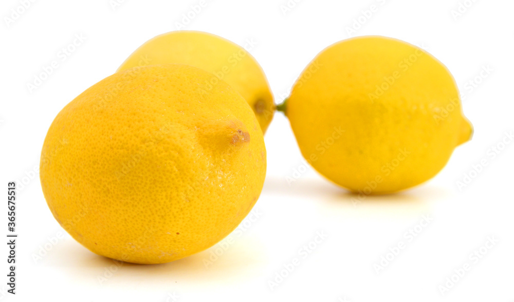 lemons isolated on a white background lemons isolated on a white background