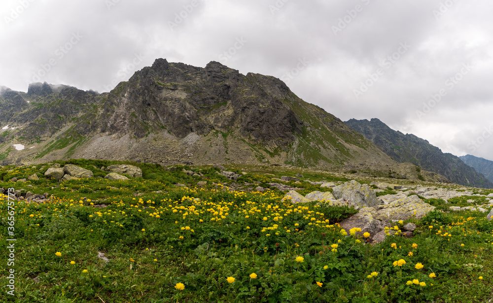 sunny meadow in mountains; panorama view of high mountains
