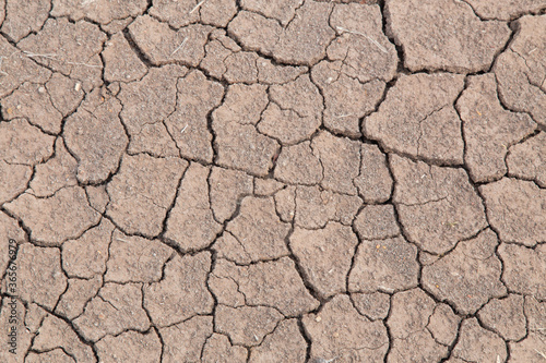 background of cracked dry soil closeup.