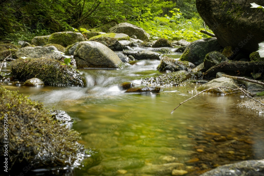 Fototapeta premium Portraying nature with a river in Springfield MA