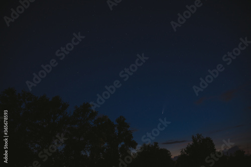 Comet Neowise & stars on clear sky at night. Trees silhouettes on foreground