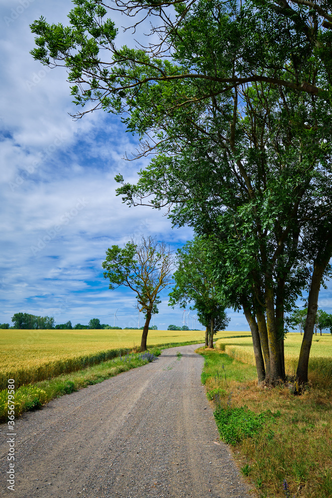 Schotterweg mit Feldern und Windrädern in der Uckermark zwischen Baumgarten und Cremzow Schotterweg mit Feldern und Windrädern in der Uckermark zwischen Baumgarten und Cremzow
