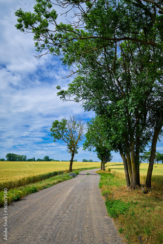 Schotterweg mit Feldern und Windrädern in der Uckermark zwischen Baumgarten und Cremzow