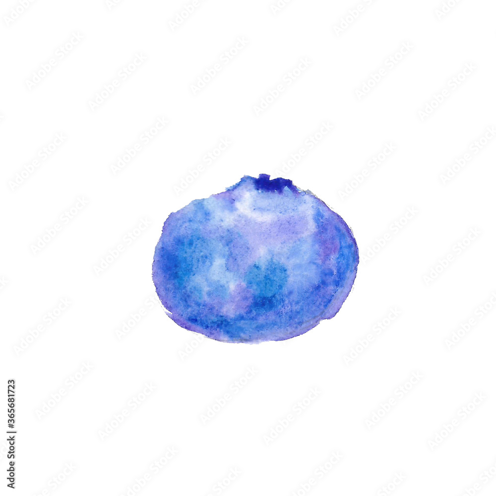 Fototapeta premium Watercolor Blueberry isolated on white background