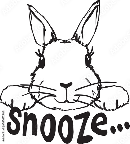 rabbit snooze