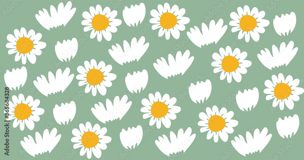 Daisy flower background vector, wallpaper and print, Vector illustration.