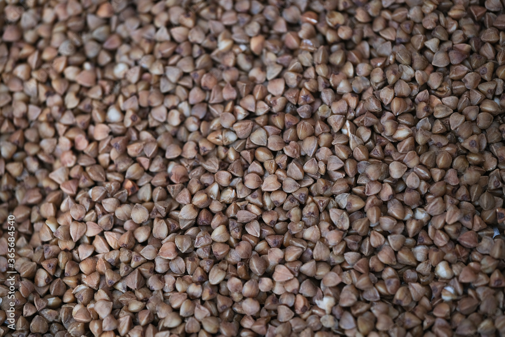 Buckwheat. Dry buckwheat background. The texture of buckwheat Buckwheat. Dry buckwheat background. The texture of buckwheat