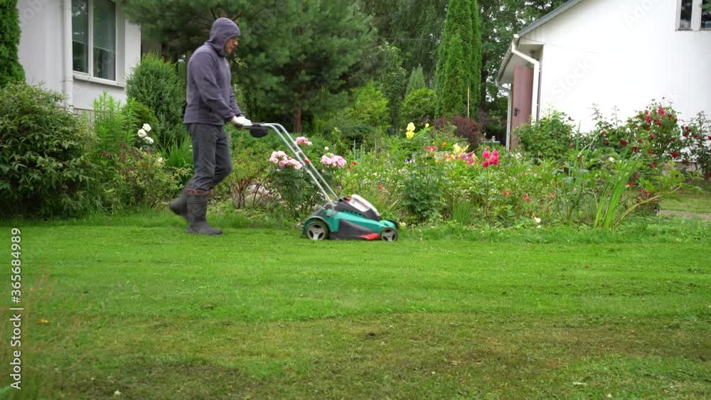 A man mows the grass with a lawnmower against the background of a flower bed with roses and a forest in the distance A man mows the grass with a lawnmower against the background of a flower bed with roses and a forest in the distance