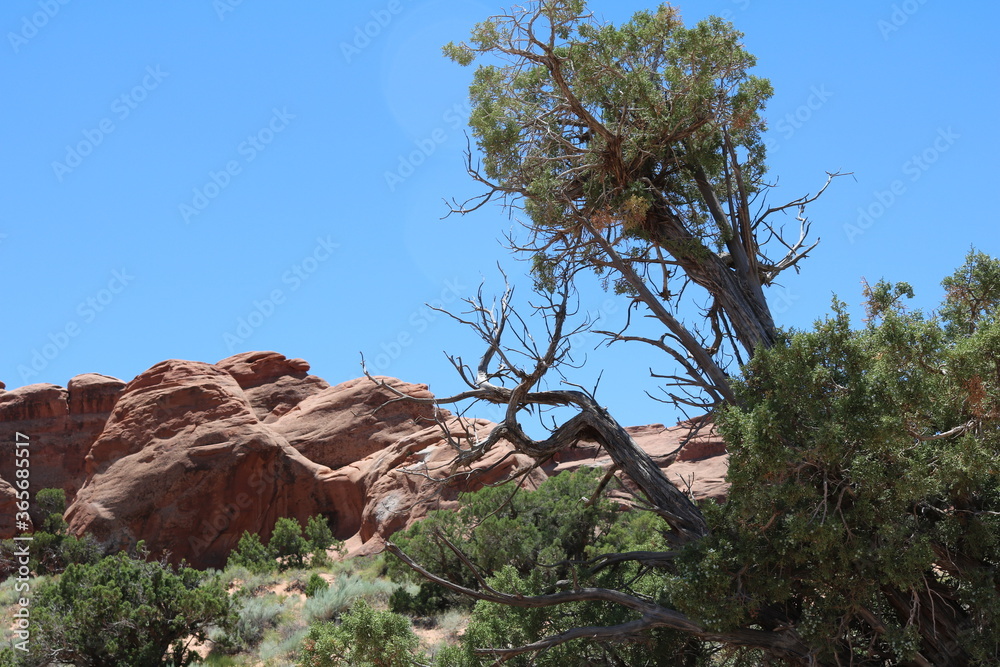 Devil's Garden Trail, Arches National Park