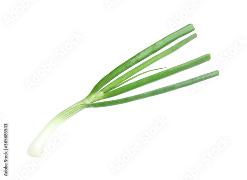 Fresh green spring onion isolated on white