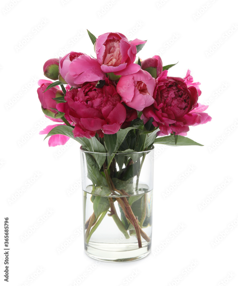 Beautiful peonies in vase isolated on white Beautiful peonies in vase isolated on white
