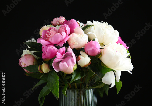 Fototapeta Naklejka Na Ścianę i Meble -  Bouquet of beautiful fresh peonies on black background, closeup
