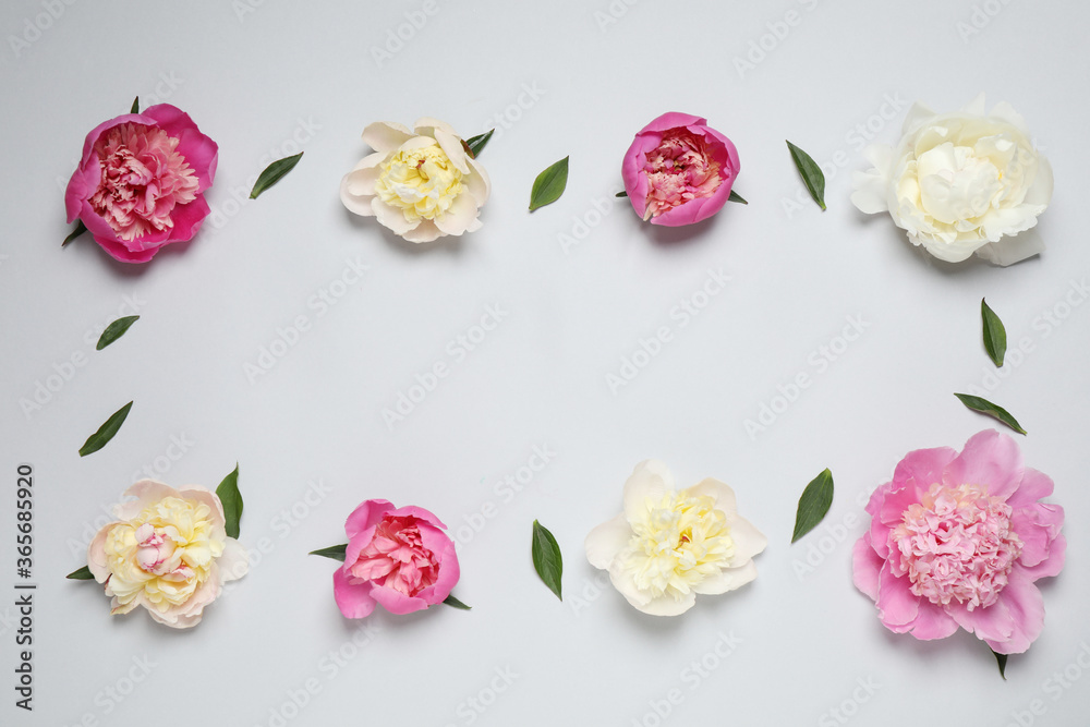 Beautiful fresh peonies and leaves on light grey background, flat lay. Space for text Beautiful fresh peonies and leaves on light grey background, flat lay. Space for text