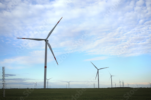 Wallpaper Mural Beautiful view of field with wind turbines. Alternative energy source Torontodigital.ca