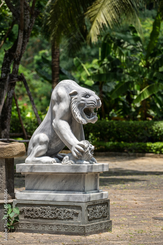 Marble white tiger and lion statue in outdoors park in tropical garden, Vietnam