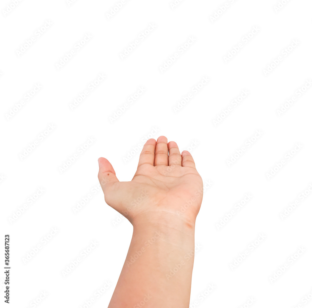 Empty open hand isolated white background with clipping path. Empty open hand isolated white background with clipping path.
