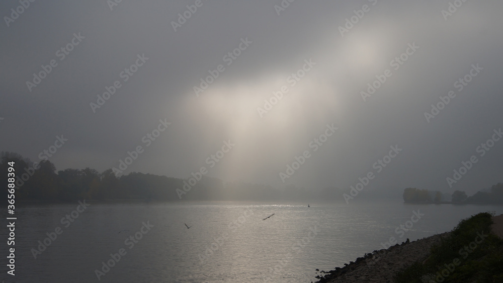Rhein bei Eltville im Dunst VI Rhein bei Eltville im Dunst VI