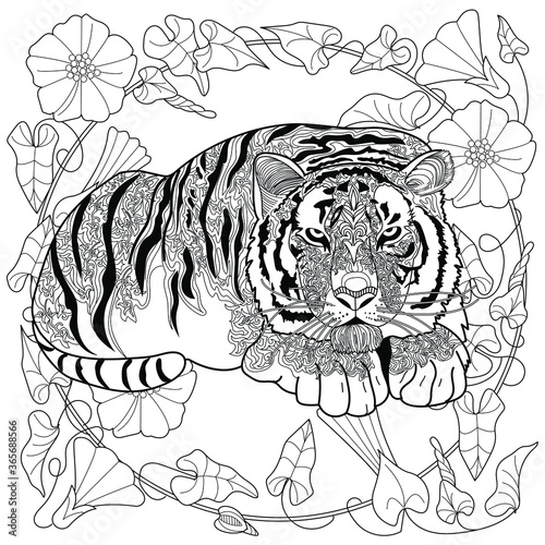 Art therapy coloring page. Coloring Book for adults and children. Colouring pictures with tiger. Antistress freehand sketch drawing with doodle and zentangle elements.