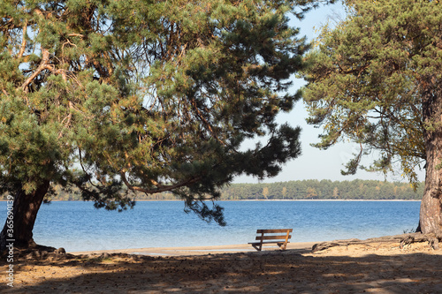 Bench on the lakeshore. photo