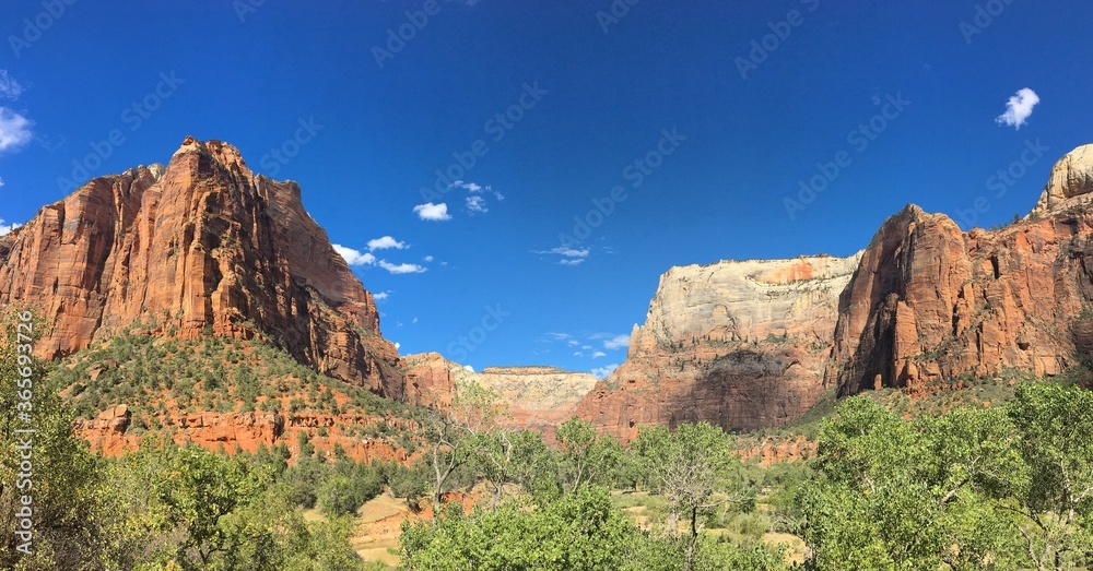 Fototapeta premium Zion National Park