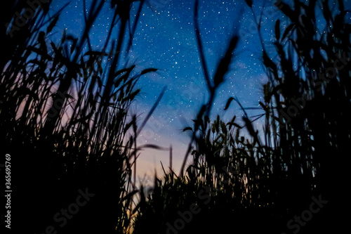 Étoile 