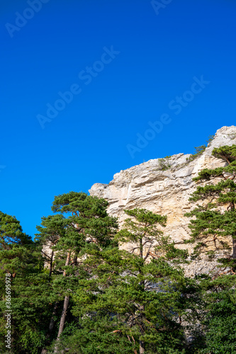 Eroding limestone cliff with forest in foreground at Ihreviken nature reserve on the island of Gotland in Sweden