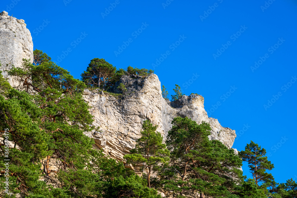 Eroding limestone cliff with forest in foreground  at Ihreviken nature reserve on the island of Gotland in Sweden