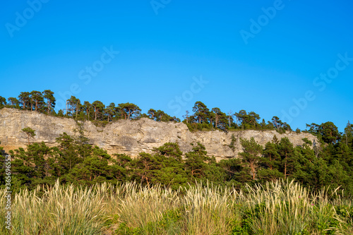 Limestone cliff with pine trees underneath, Sweden