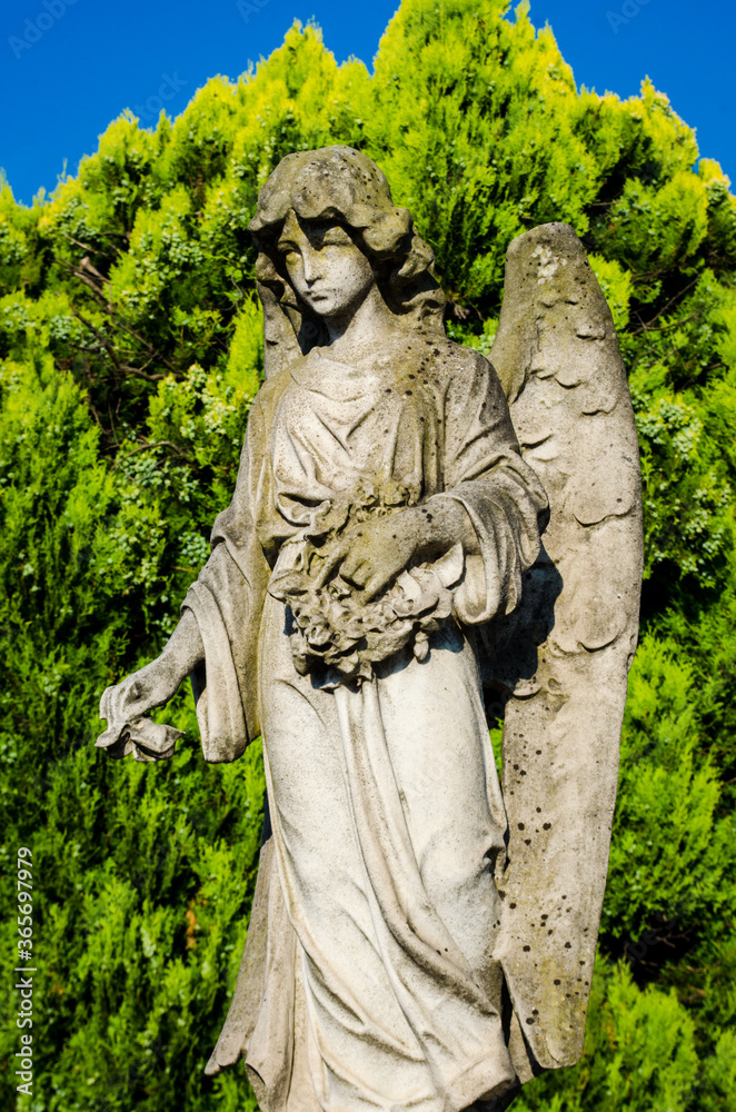 Un angelo del cimitero monumentale di Pavia