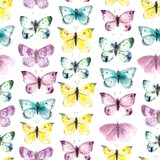 Colorful butterflies and moths seamless pattern