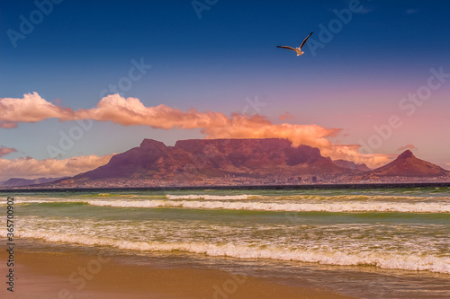 Table view beach at bloubergstrand Cape Town showing table mountain and Atlantic ocean photo