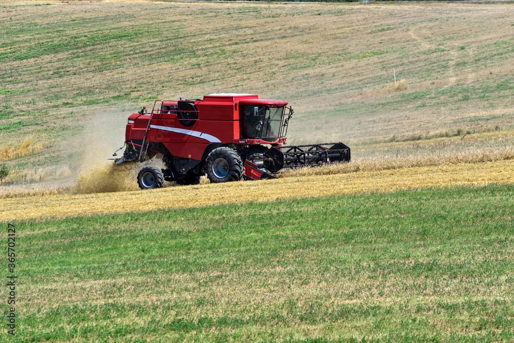 Fototapeta premium thresher