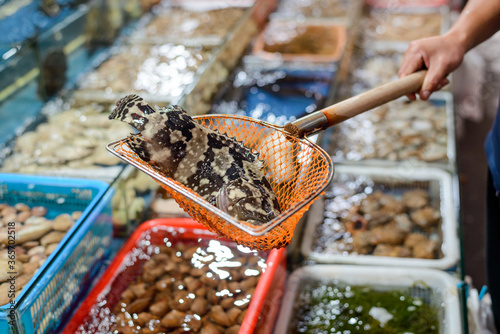 Canvas Print Big fish in a scoop at a Chinese market