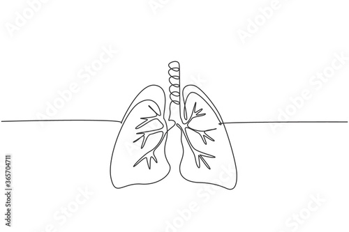 One continuous line drawing of anatomical human lungs organ. Dynamic medical internal anatomy concept. Single line draw graphic design vector illustration
