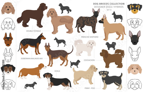 Designer dogs  crossbreed  hybrid mix pooches collection isolated on white. Flat style clipart dog set
