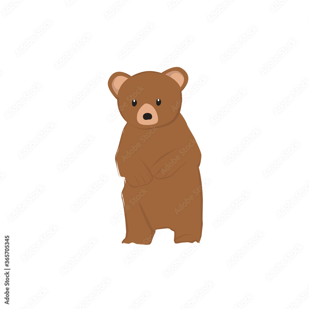 Bear Illustration