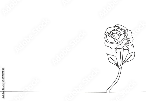 One single line drawing of fresh beautiful romantic rose flower. Greeting card, invitation, logo, banner, poster concept. Dynamic continuous line draw design vector illustration graphic