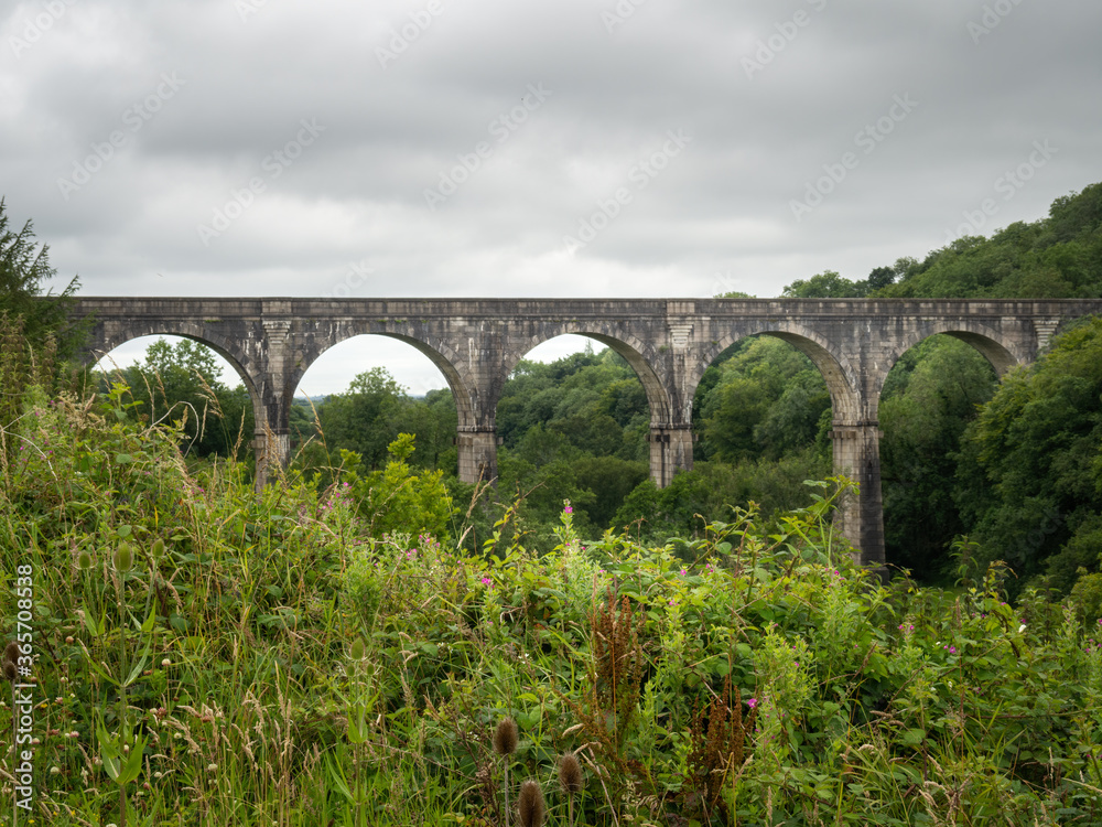 Holsworthy, Derriton railway viaduct. Landscape view. Devon, UK.